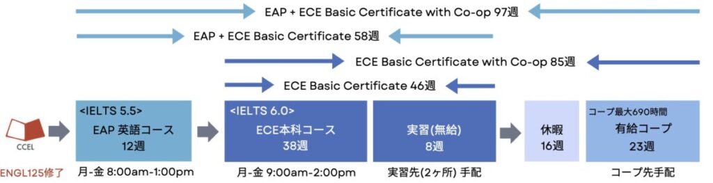 プログラムの内容と期間